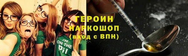 прущие грибы Корсаков