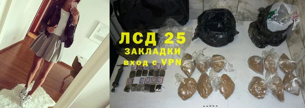 прущие грибы Корсаков