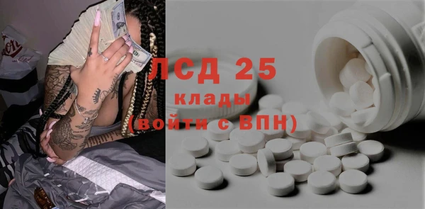прущие грибы Корсаков