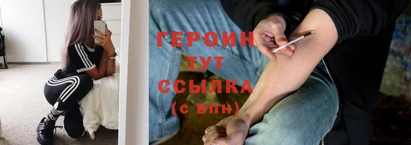 прущие грибы Корсаков