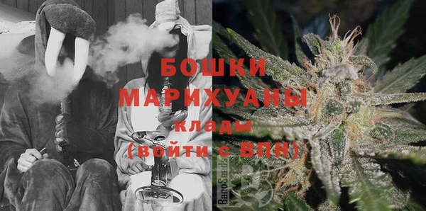 прущие грибы Корсаков
