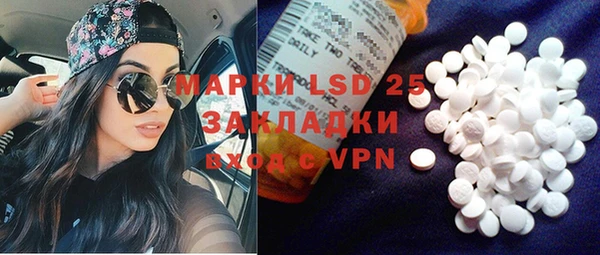 прущие грибы Корсаков