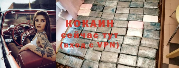 прущие грибы Корсаков