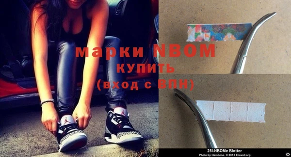 прущие грибы Корсаков