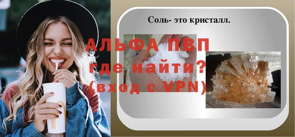 прущие грибы Корсаков