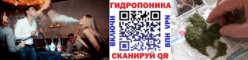 Шишки марихуана MAZAR  Купить закладки  Любань 